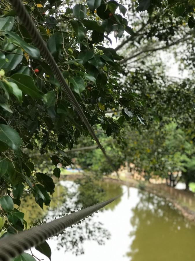 Campestre Hotel 3*